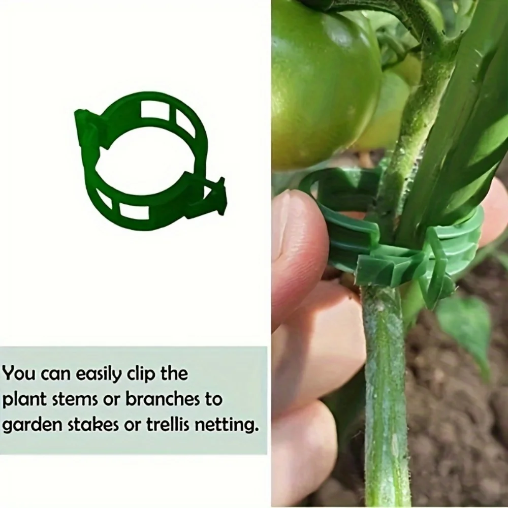 100 Plastic Plant Clips, Reusable Support Connectors, Protect Grafted Plants, Fix Vegetables and Tomatoes, Gardening Supplies thumbnail 4
