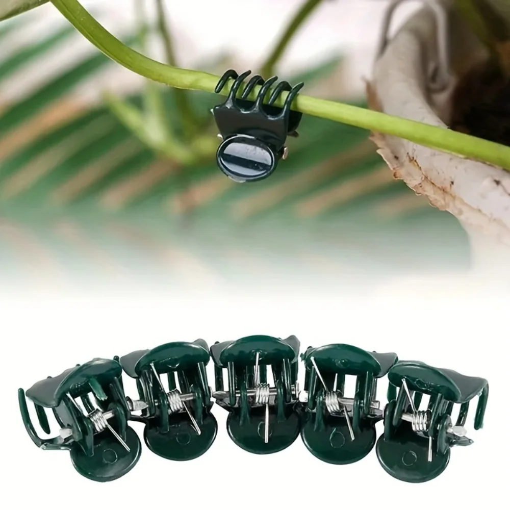 100 Plastic Plant Support Clips for Garden Plants, Vine Vegetable Orchid Branch Clamps, Garden Tools, Garden Plant Vegetable Greenhouse Fixing Clips thumbnail 5