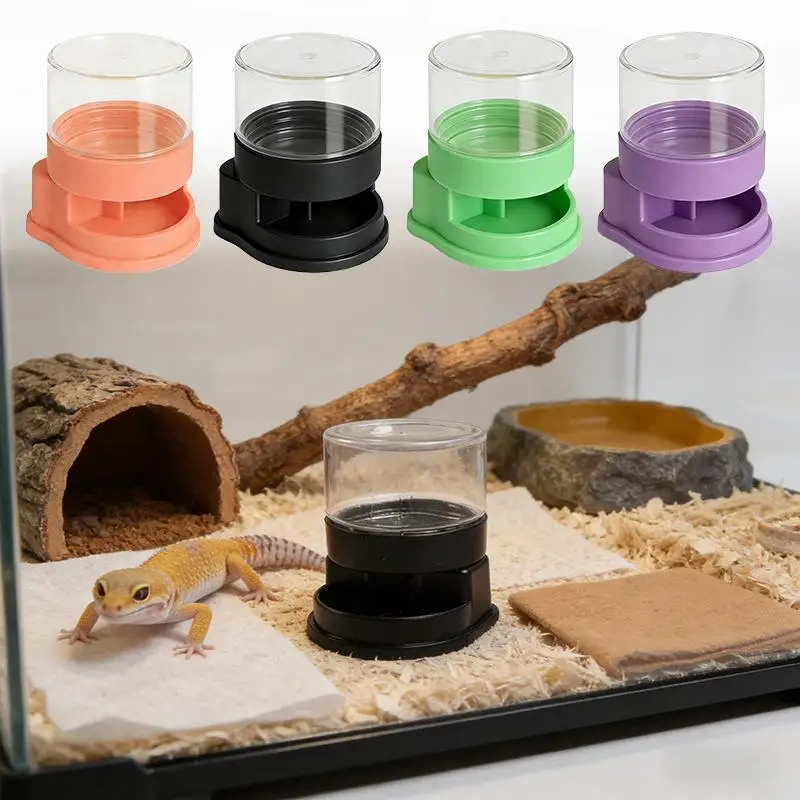 Reptiles Water Feeder Bowl Plastic Stable Water Dispenser Detachable Water Bowl For Snakes Tortoise Turtle Lizard Accessories
