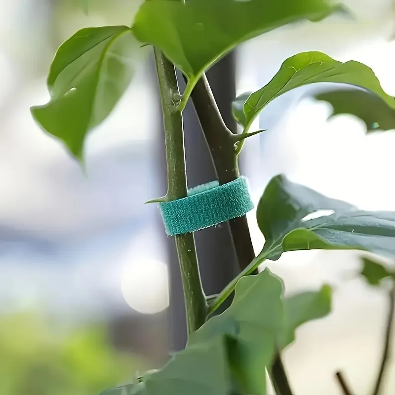 3pcs Self-adhesive Plant Nylon Cable Tie, Cable Tie, Support Garden Twine Bandage， Multi-Functional, Secure. Gardening Tasks thumbnail 2