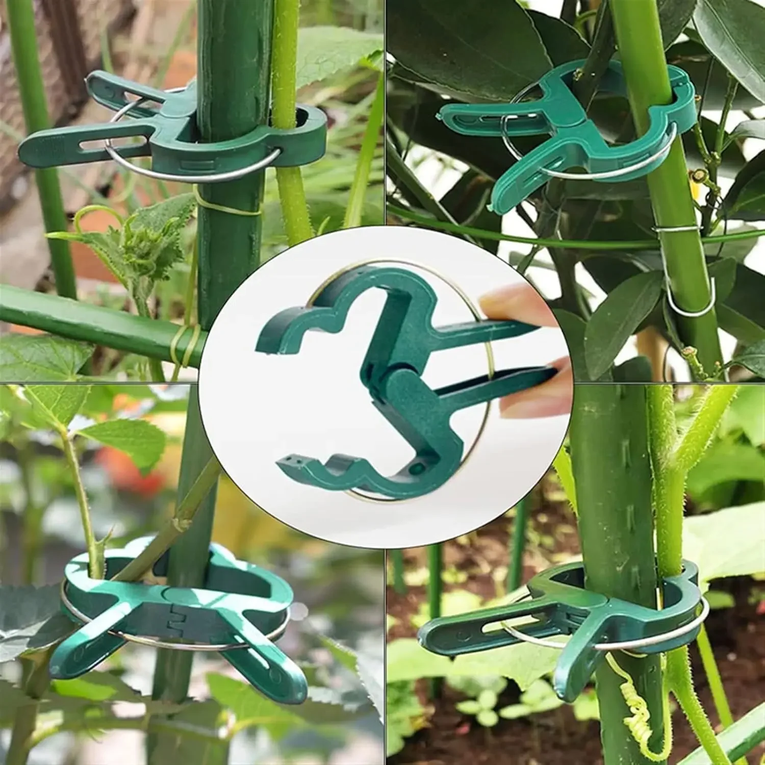 Plant Fixed Clips Reusable Garden Greenhouse Bracket for Fixed Plants Vine Flower Seedling Tomatoes Support Garden Supplies thumbnail 3
