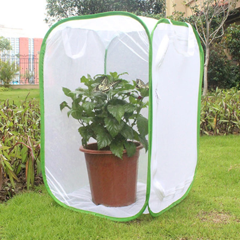 Collapsible Insect Cage Mesh Habitat Bird Butterfly Mantis Stick Grid Breeding Cricket Net Cloth Farm Cocoon Silkworm Hatch Cage thumbnail 5
