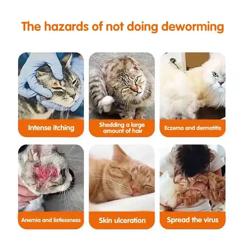 Special Deworming Tablets For Pet Dogs Cats Quickly Kill Trematodes, Whipworms, Nematodes, Tapeworms, Pinworms And Roundworm thumbnail 2