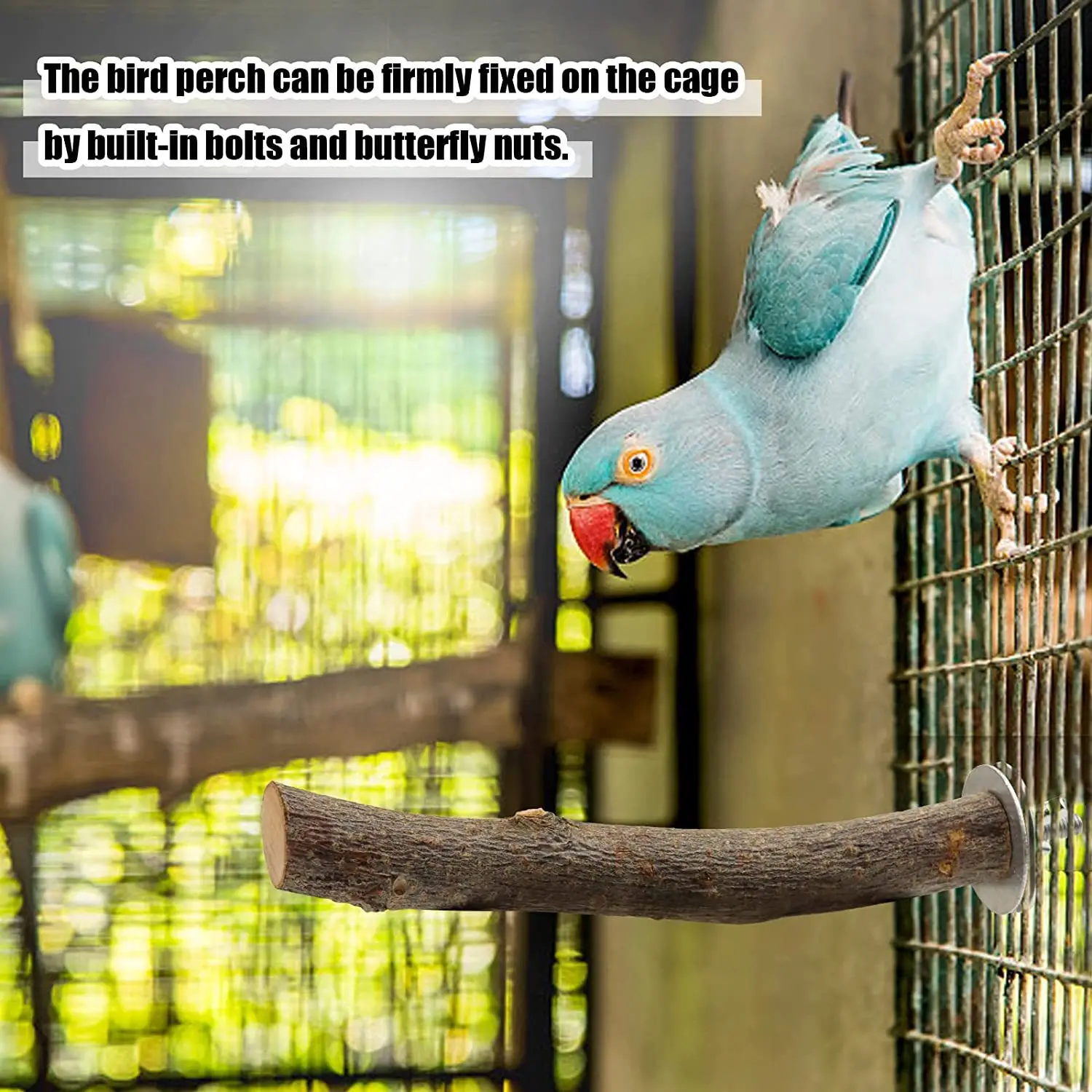 Natural Wood Parrot Perch Set, Bird Cage Stand Branch Platform for Budgie, Cockatiel, Pet Supplies thumbnail 5