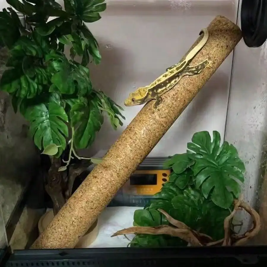 1 Piece of Accessory, Color and Style Shipped Randomly, Suitable for Reptiles and Amphibians, Tree Climbing Stick, Cork Climbing Stick, Eyelash Gecko, Giant Gekko, Pet Breeding Box Landscaping Stick, Tree Climbing Stick for Reptiles thumbnail 4