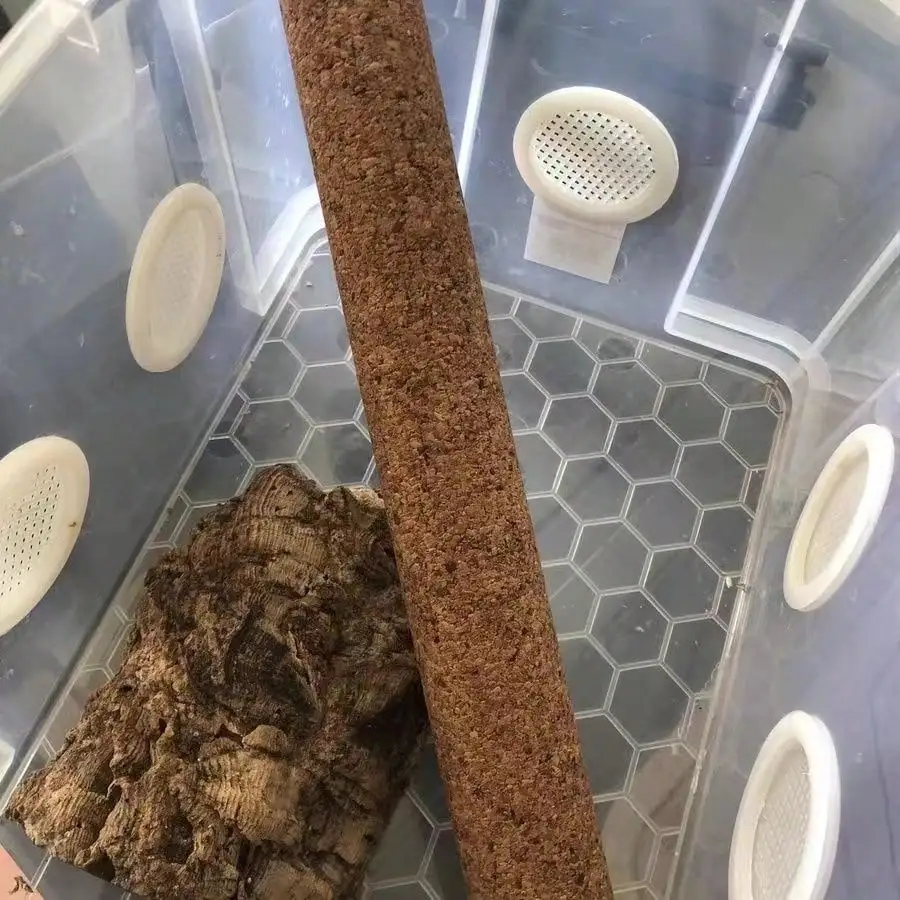 1 Piece of Accessory, Color and Style Shipped Randomly, Suitable for Reptiles and Amphibians, Tree Climbing Stick, Cork Climbing Stick, Eyelash Gecko, Giant Gekko, Pet Breeding Box Landscaping Stick, Tree Climbing Stick for Reptiles thumbnail 3