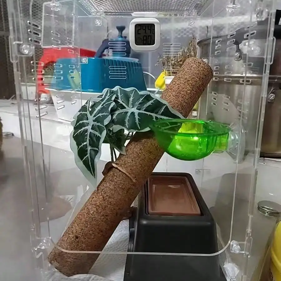 1 Piece of Accessory, Color and Style Shipped Randomly, Suitable for Reptiles and Amphibians, Tree Climbing Stick, Cork Climbing Stick, Eyelash Gecko, Giant Gekko, Pet Breeding Box Landscaping Stick, Tree Climbing Stick for Reptiles thumbnail 2