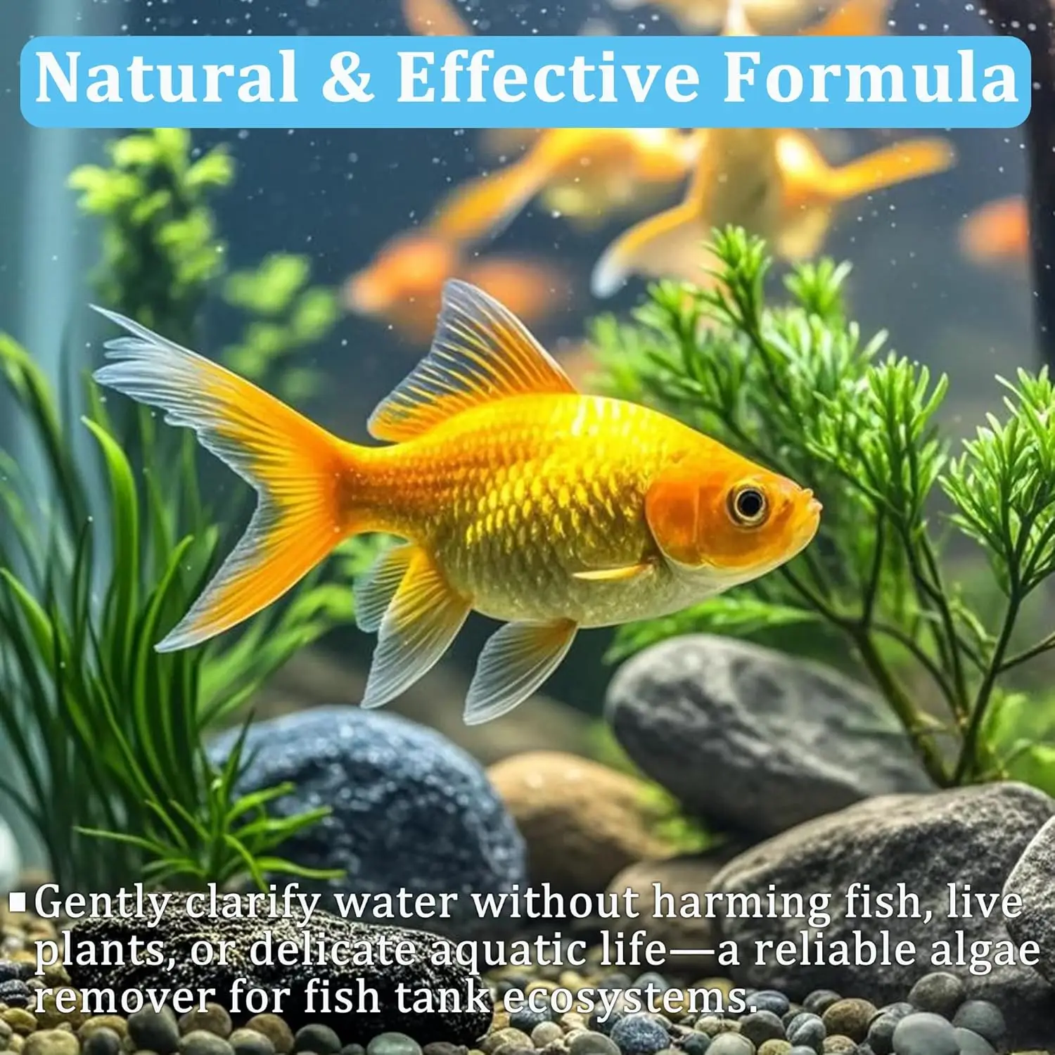 Aquarium Water Purification Tablets Fish Tank Clarifier Rapid Clear Turbidity Clean Ecosystem Care Pet Fish Health Accessories thumbnail 4