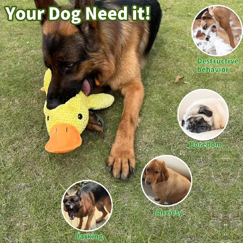 Duck dog toy plush chew resistant durable dog toy with quacking sound teeth grinding relief soft companion for small large dog thumbnail 3