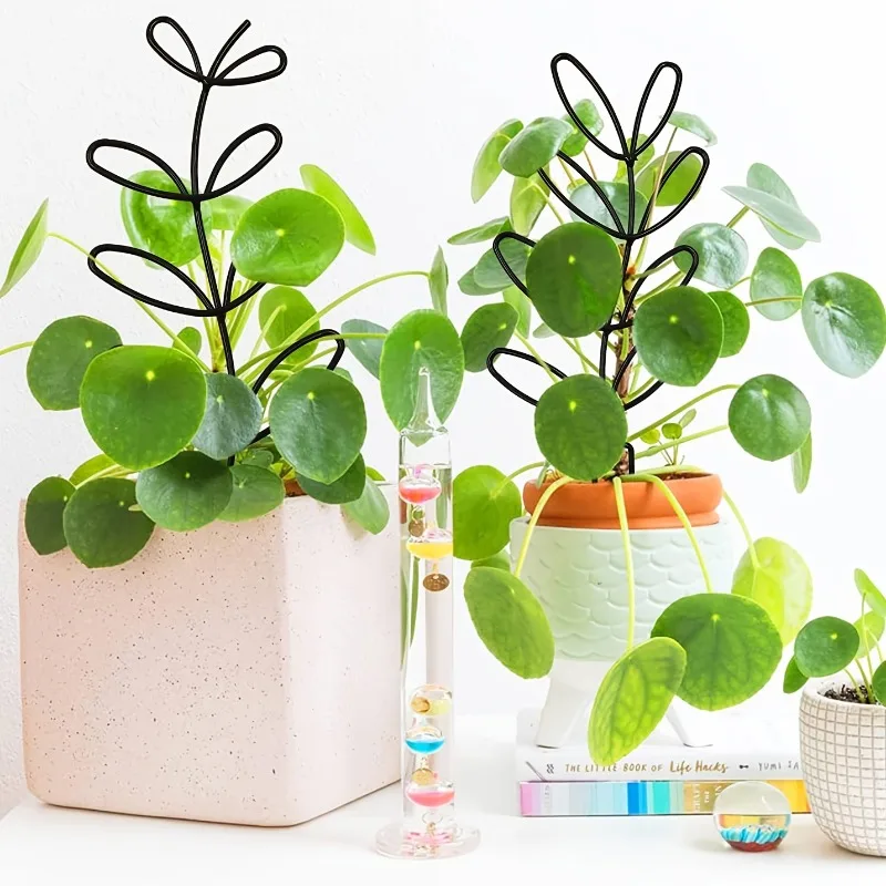 3pcs Plant Support Frame Climbing Rack Suitable for Plant Shaping/Designing/Fixing Garden Decor Outdoor Planters Indoor Planters thumbnail 3