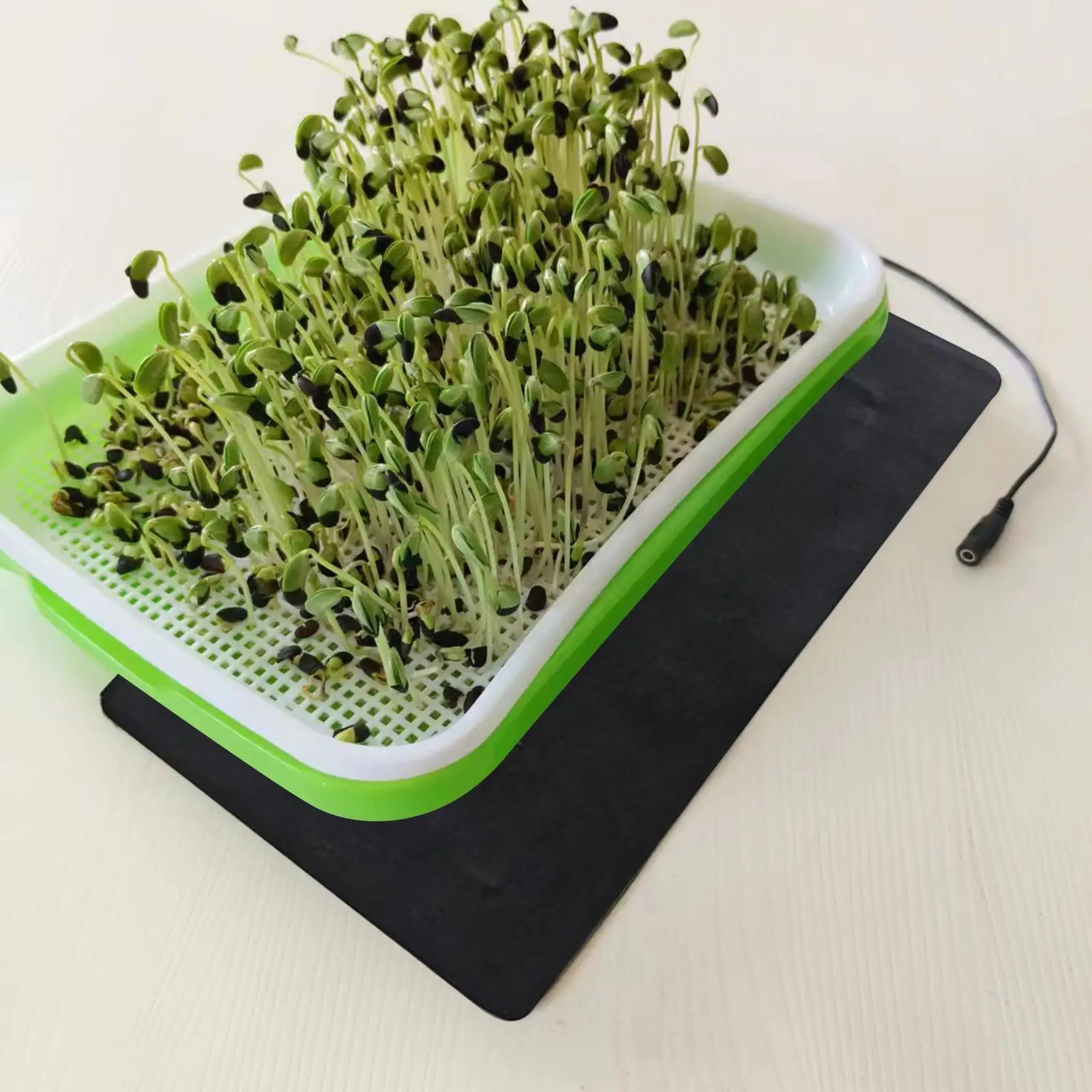 8.5W Seedling Heat Mat 5V 2A Plant Seed Germination Propagation Warm Pad Plant Flower Vegetable Winter Anti-cold Heat Mat thumbnail 3