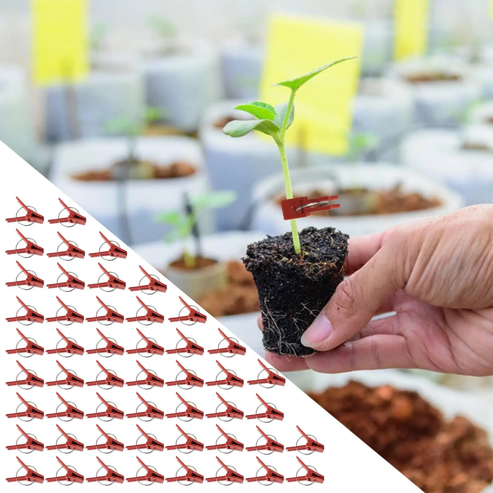 Plant Grafting Clips 50 Pack Vegetable Vine Fixing Clamps Flat Mouth Support Clips Gardening Tool for Tomato Cucumber Vines