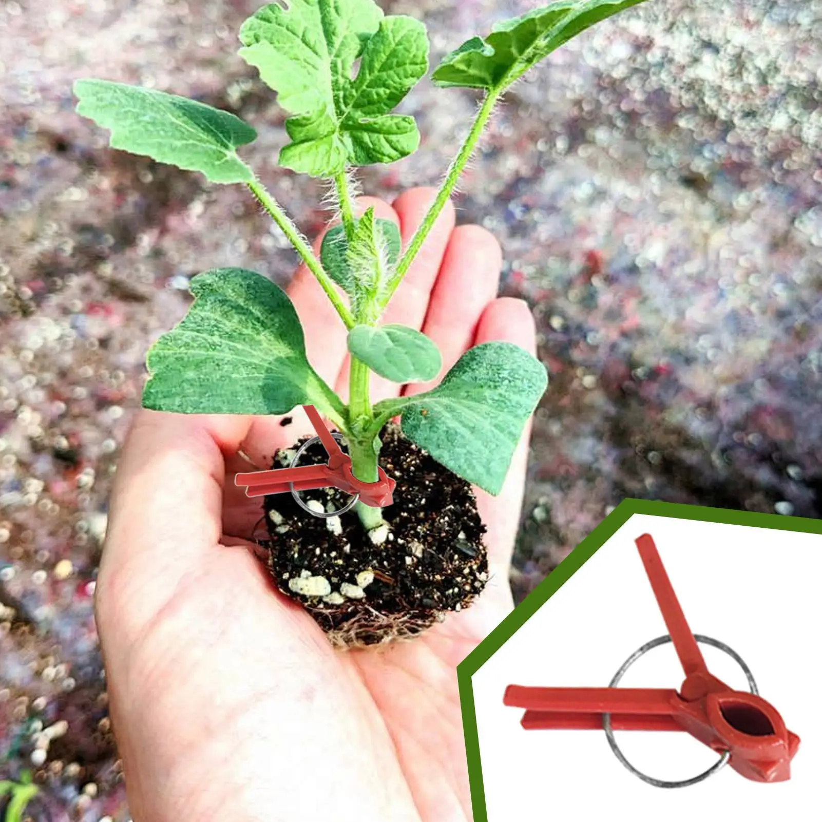 Plant Grafting Clips 50 Pack Vegetable Vine Fixing Clamps Flat Mouth Support Clips Gardening Tool for Tomato Cucumber Vines thumbnail 3