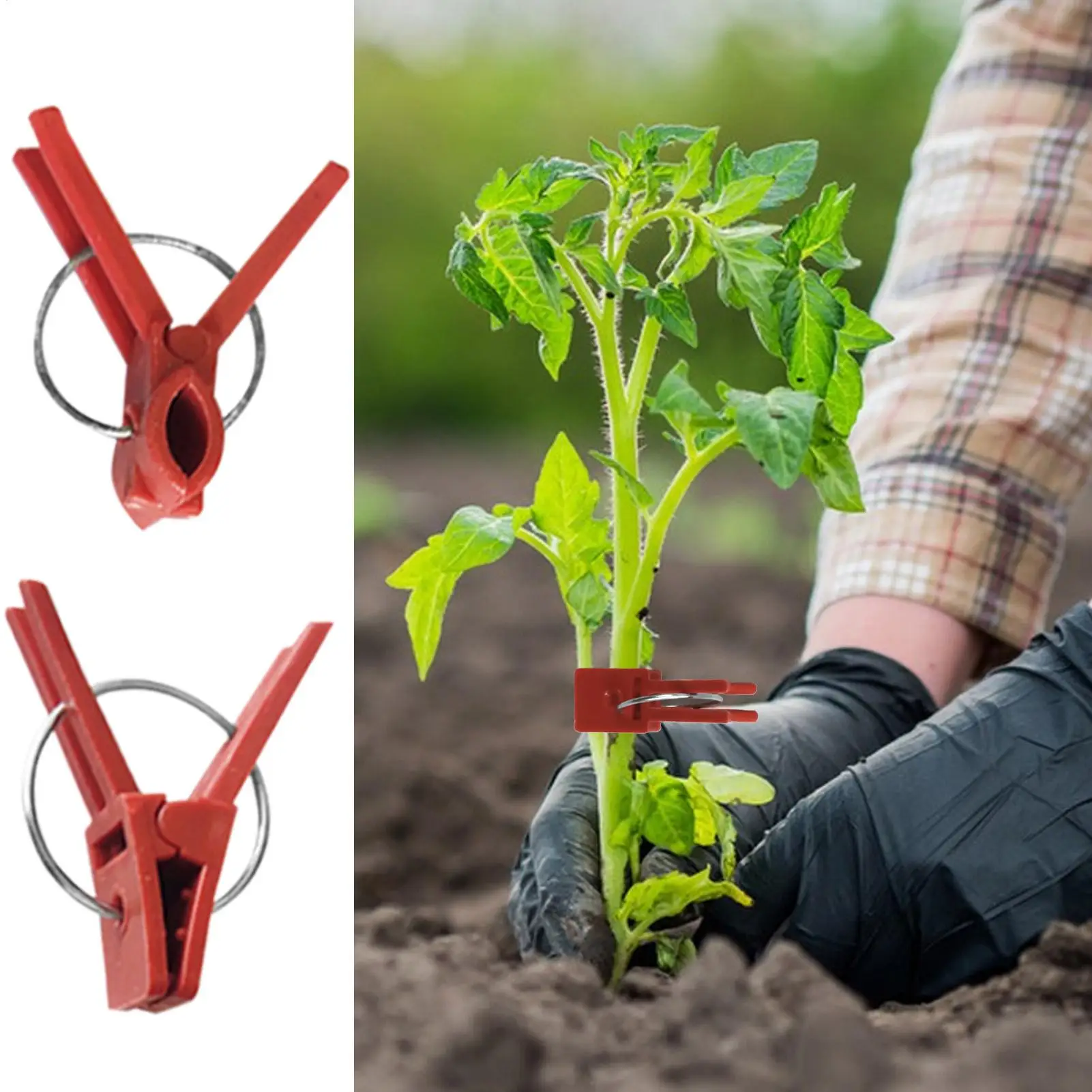 Plant Grafting Clips 50 Pack Vegetable Vine Fixing Clamps Flat Mouth Support Clips Gardening Tool for Tomato Cucumber Vines thumbnail 5