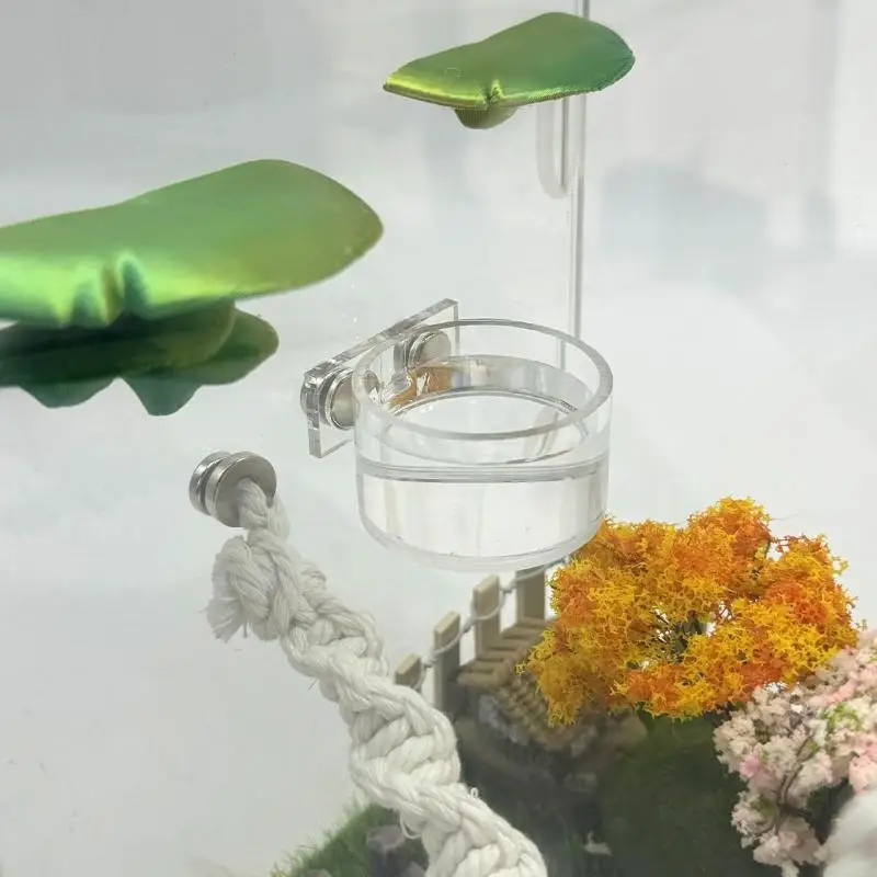 New Reptile Feeding Dish Set Mini Magnetic Food Water Bowl With Feeding Clip For Spider Manti Cricket Enclosure Accessories