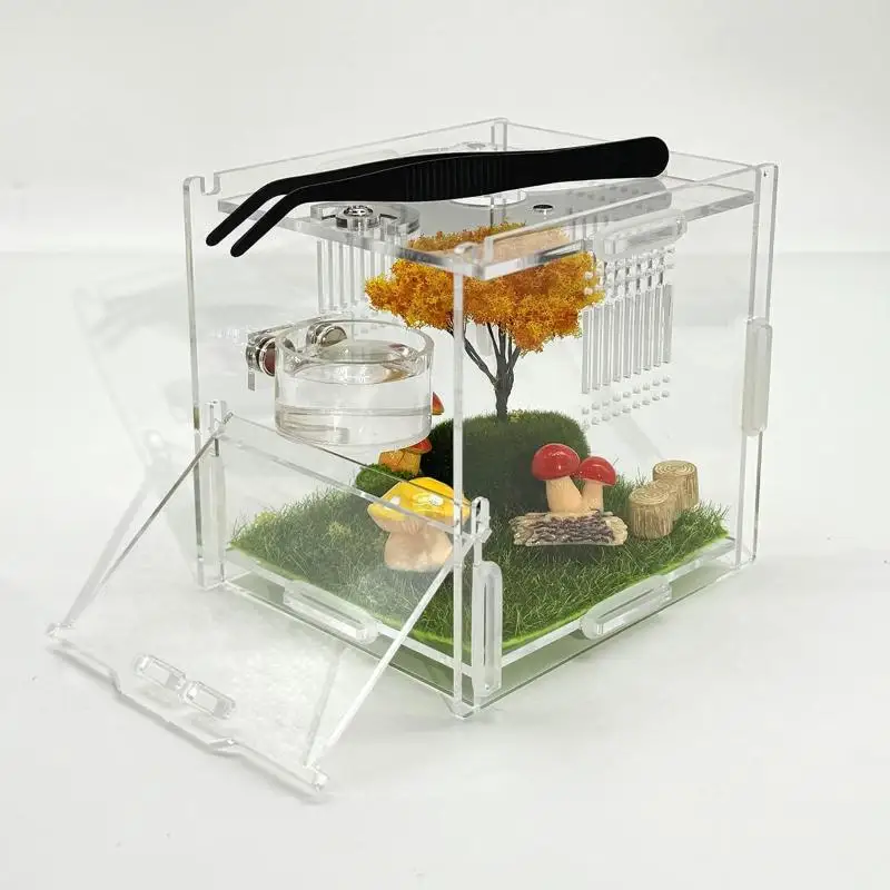 New Reptile Feeding Dish Set Mini Magnetic Food Water Bowl With Feeding Clip For Spider Manti Cricket Enclosure Accessories thumbnail 5