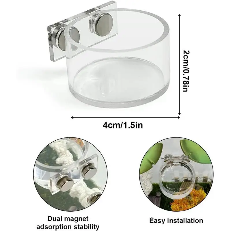 New Reptile Feeding Dish Set Mini Magnetic Food Water Bowl With Feeding Clip For Spider Manti Cricket Enclosure Accessories thumbnail 3