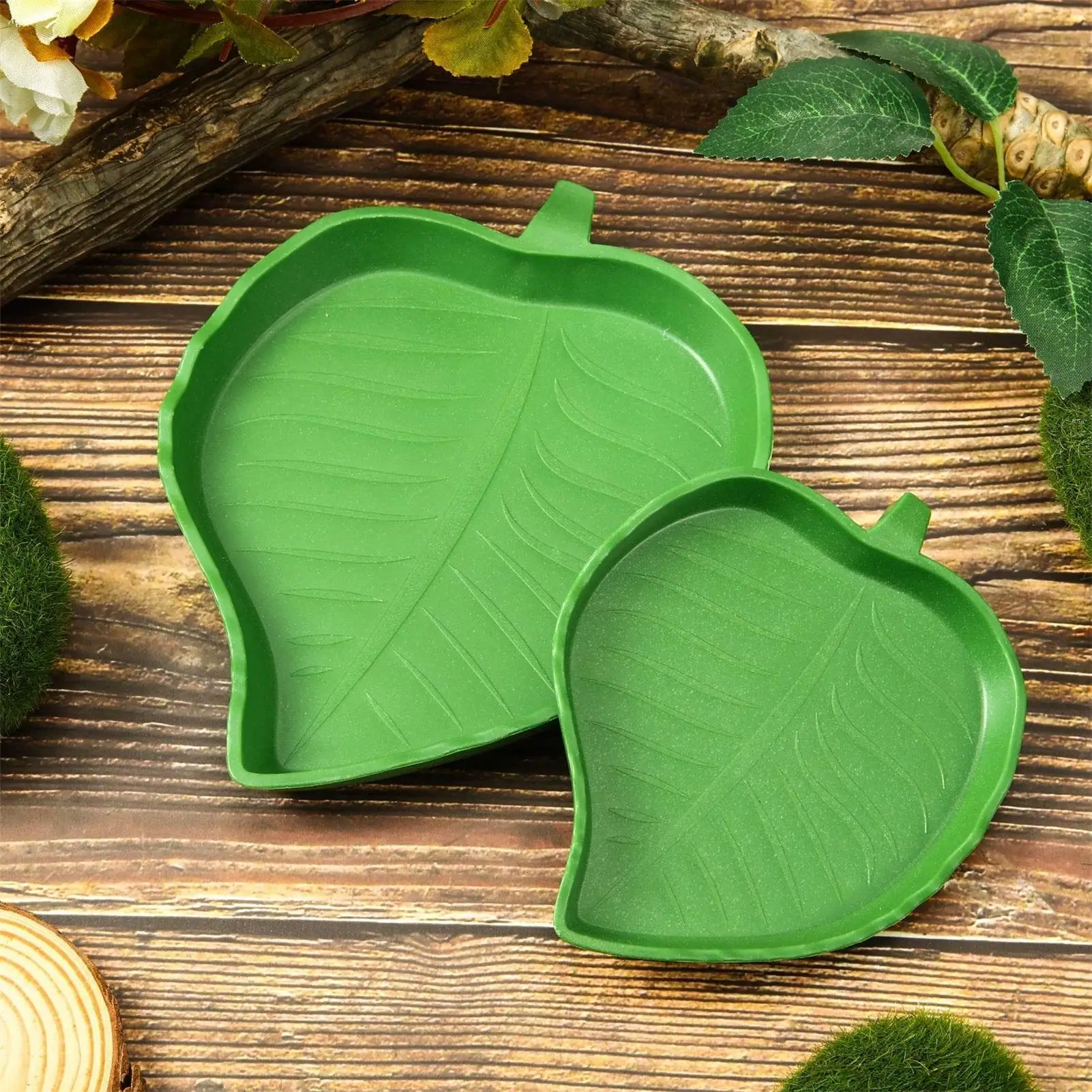 Reptile Feeder Turtle Feeding Bowl Amphibian Leaf Water Dish Flat Drinking Plate For Lizards Young Bearded Dragons Chameleon thumbnail 2