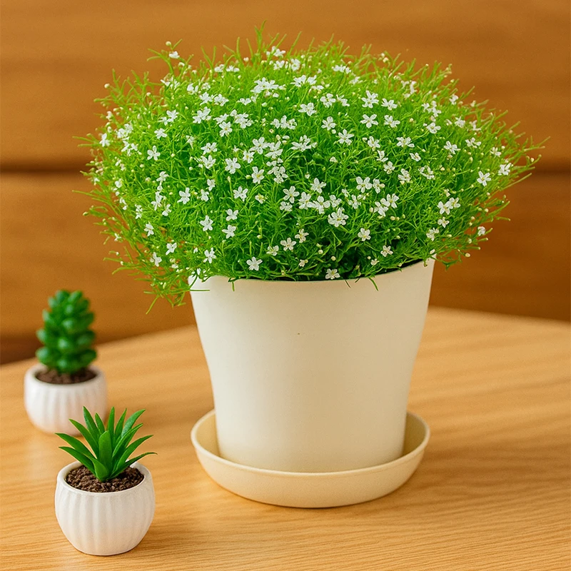 Plastic Flower Pot with Tray Garden Planters Pot  Colorful Succulents Plant Pot Office Desk Balcony Flower Pot Outdoor Plant Pot thumbnail 3