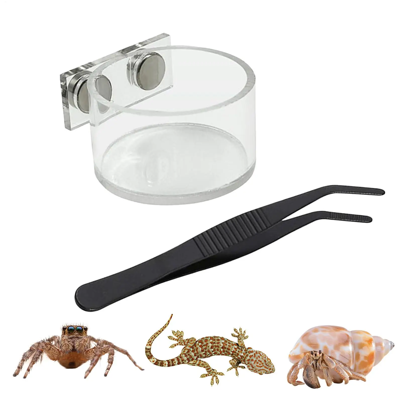 Acrylic Magnetic Reptile Feeding Bowl with Tweezers, Small Water Dish for Jumping Spider Tarantula Mantis Terrarium Supplies