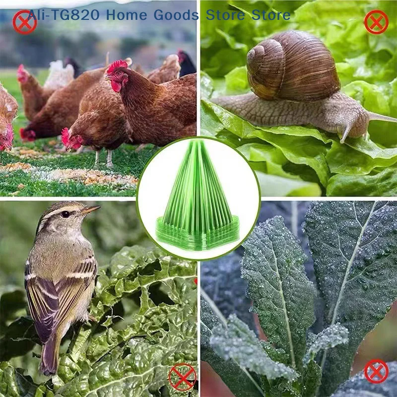 [TG820]10PCS Garden Yard Lawn Plant Protective Cover Multifunction Garden Yard Protective Supplies DIY Accessories thumbnail 4