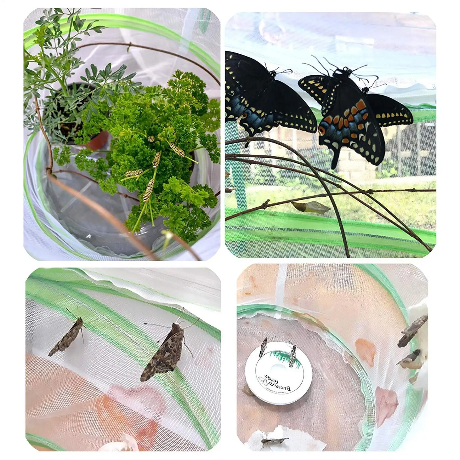 Folding Insect Mesh Cage Butterfly Dragonfly Mantis Breathable Habitat Cage Cylindrical Breeding Feeding Container Catching Cage thumbnail 5