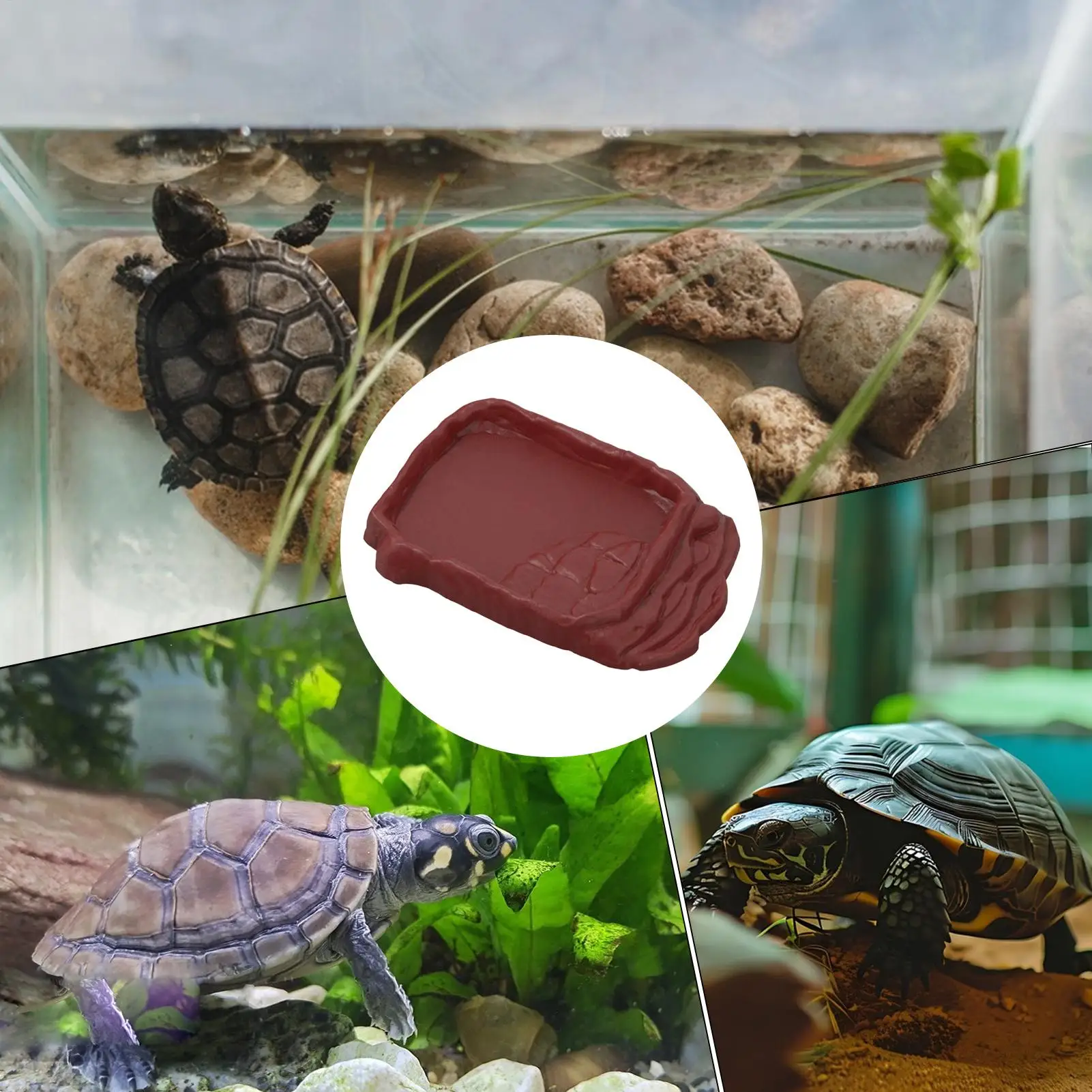 Turtle Water Dish With Anti-Slip Imitation Rock Ladders Food Water Bowl For Bearded Dragon Lizards Gecko Small Pet Supplies thumbnail 5