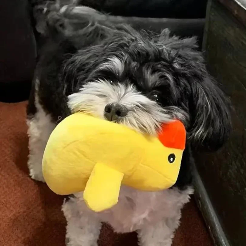 A 7-piece set of puppy sound toys, loose plush pet chewing, plush fruit snacks and vegetable puppy toys, suitable for pet play thumbnail 2