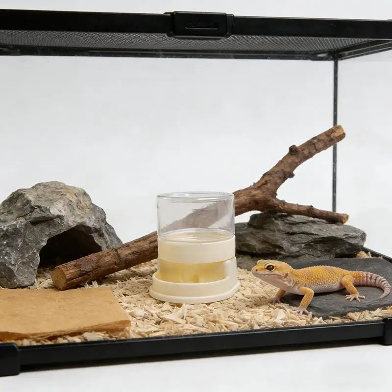 Detachable Reptile Water Feeder Plastic Drinking Bowl for Lizard Tortoise Snake Stable Reptile Dispenser with Non-slip Bottom thumbnail 5