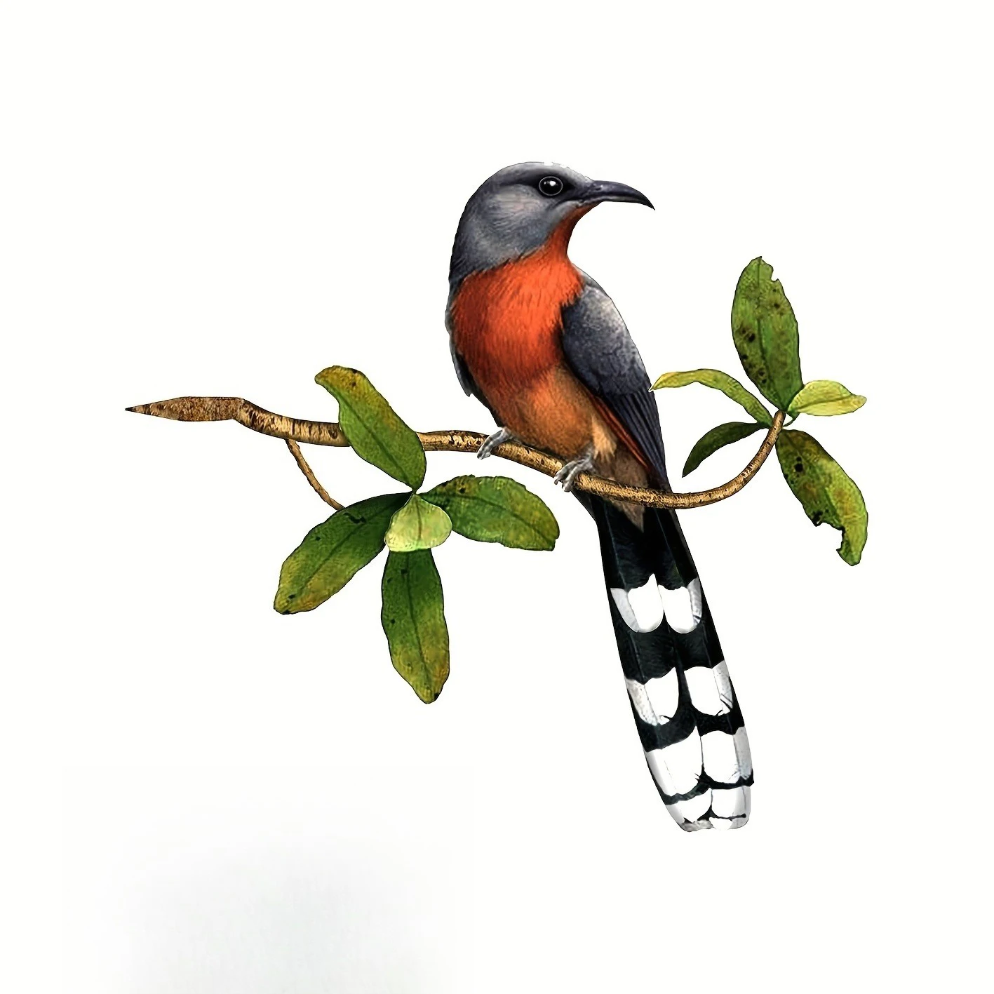 Metal Branch Longtail Bird Garden Decoration Insert thumbnail 5