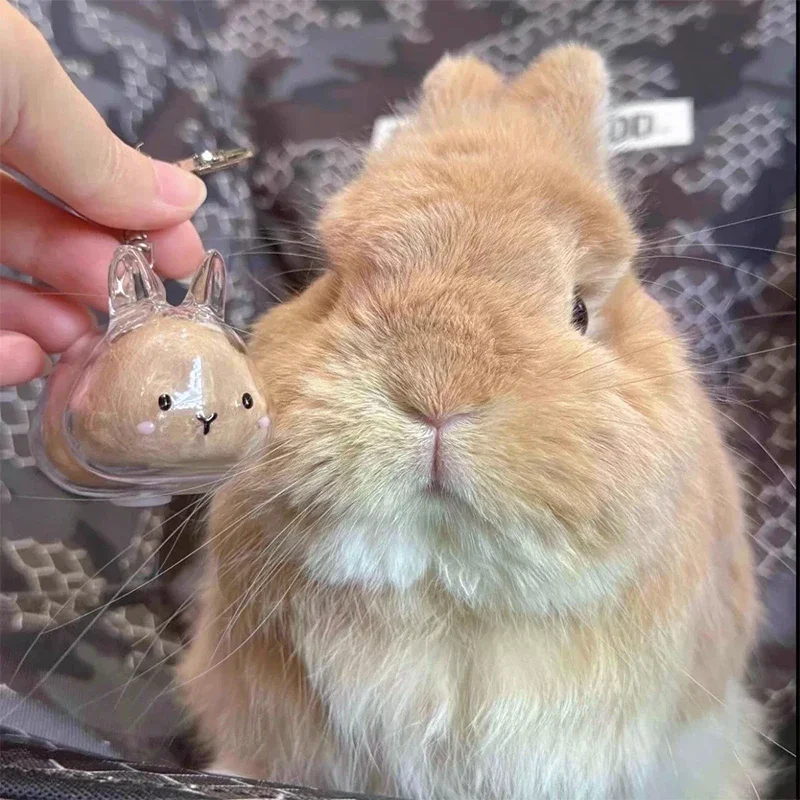 Rabbit Hair Keepsake Box Pendant Keychain Pet Memorial Collection Bag Decor Gift
