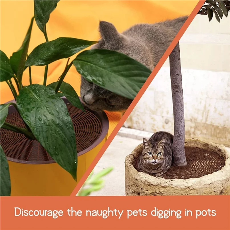 1PC Plant Pot Soil Guard With Nails Plant Pot Grid Flower Pot Cover Baby Safety Mouse Garden Home Plant Protector Repel Cats thumbnail 4
