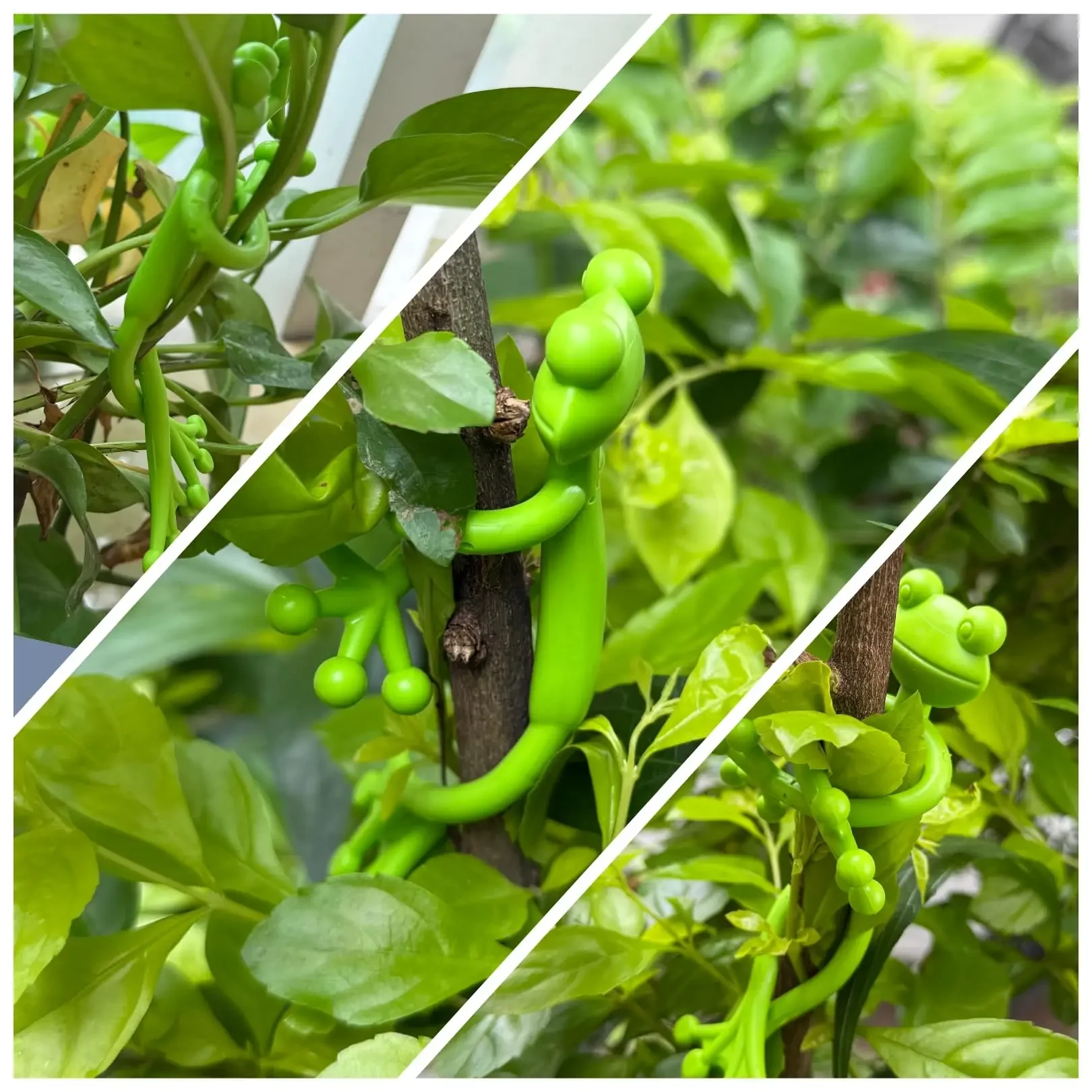 1/2/5/12PCS Frog Plant Stand Tomato Plant Support for Plants Adjustable Flexible ClipPlant Climbing Fixture Clips Garden Supplie thumbnail 4