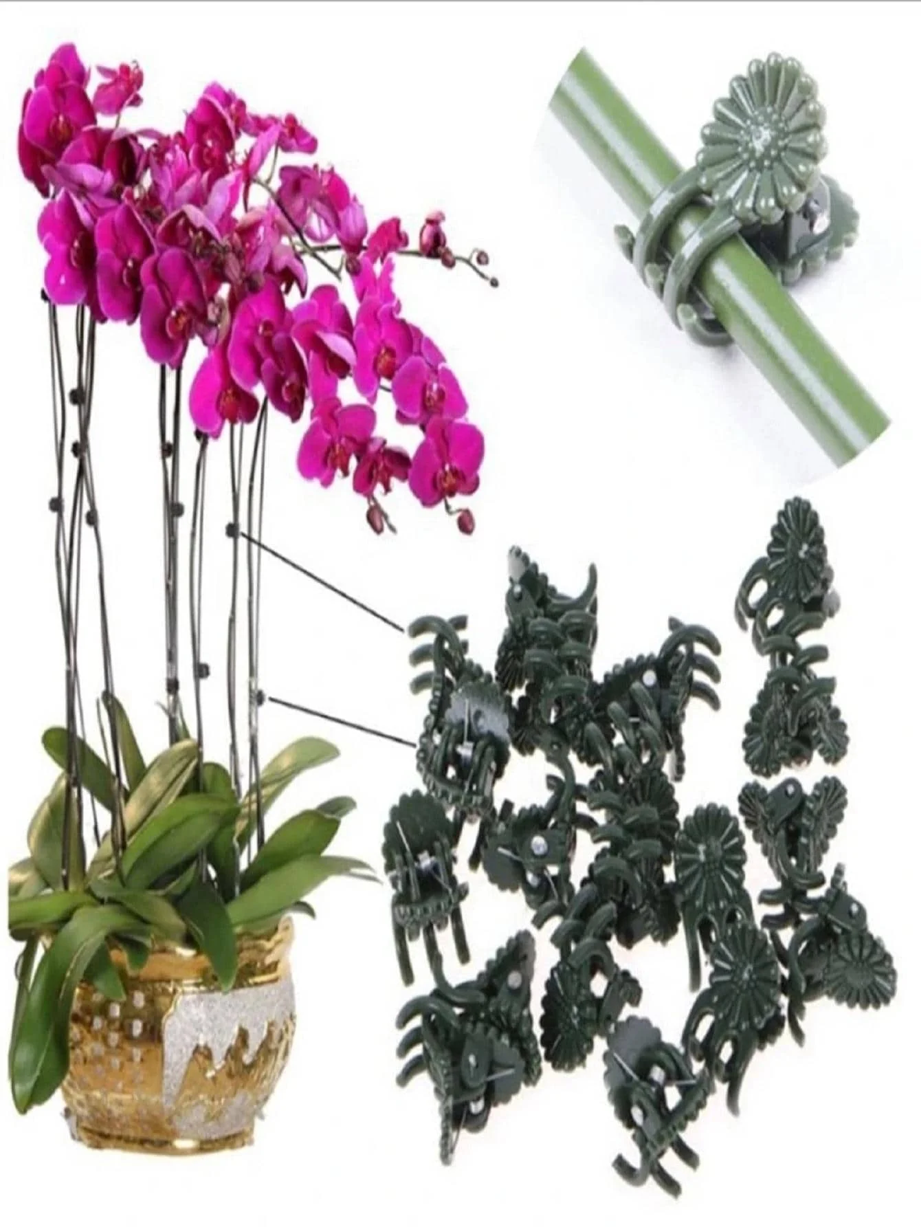 20Pcs Butterfly Orchid Plant Clips Flower Stem Support Clamps Multifunctional Garden Vine Fixing for Growth thumbnail 2