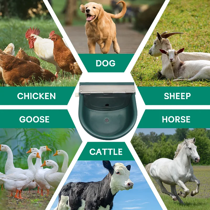 Automatic Water Drinking Bowl Farm Animals Water Feeder Cow Drinking Tool for Sheep Goats Feeding Water Bowl Livestock Supplies thumbnail 4