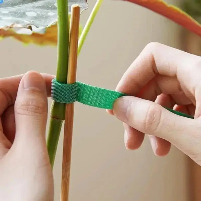 10M Reusable Nylon Plant Ties Green Garden Plant Bandage Cable Ties Self Adhesive Plant Fastener Tape for Plants Garden Home thumbnail 6