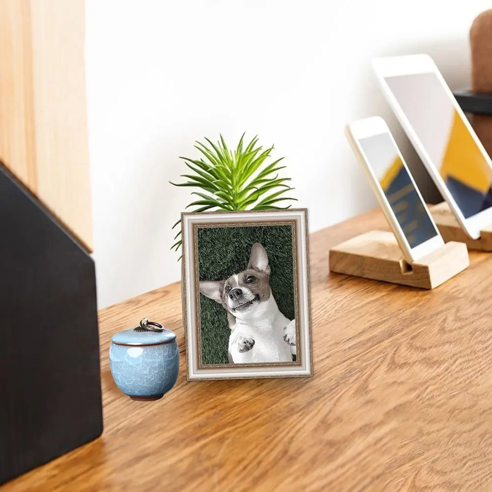 Elegant Minimalist Pet Cremation Urn Ceramic Pet Ash Jar for Dogs Cats Robust Non-Fade Non-Rust Compact Sealed Ashes Holder thumbnail 3