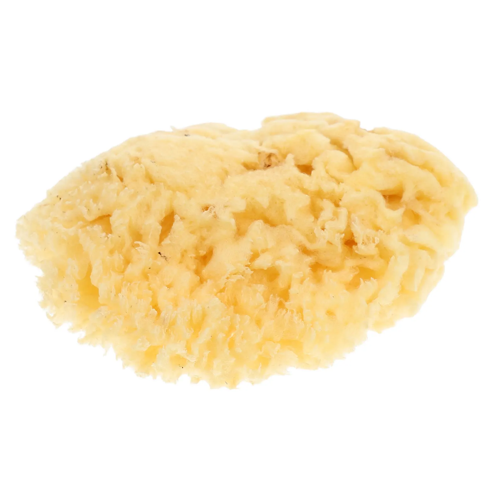 Natural Sea Sponge Soft 2.0-2.5 Inch Watercolor Sponge Multi-Function Painting Tool for DIY Texture Craft Art thumbnail 6