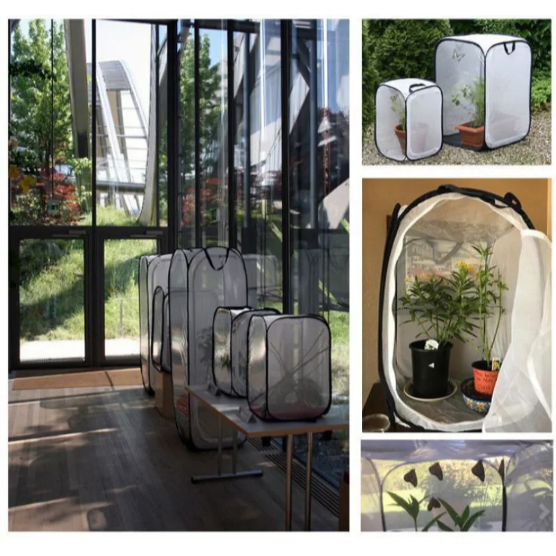 Collapsible Insect Cage Mesh Habitat Bird Butterfly Mantis Stick Grid Breeding Cricket Net Cloth Farm Cocoon Silkworm Hatch Cage thumbnail 5