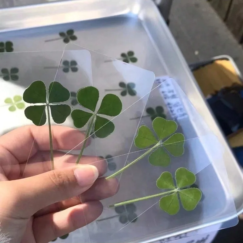 5PCS/10pcs Funny Transparent Card Bookmarks Four-Leaf Clover Bookmarker Transparent Wishing Card XKSQ01 thumbnail 2