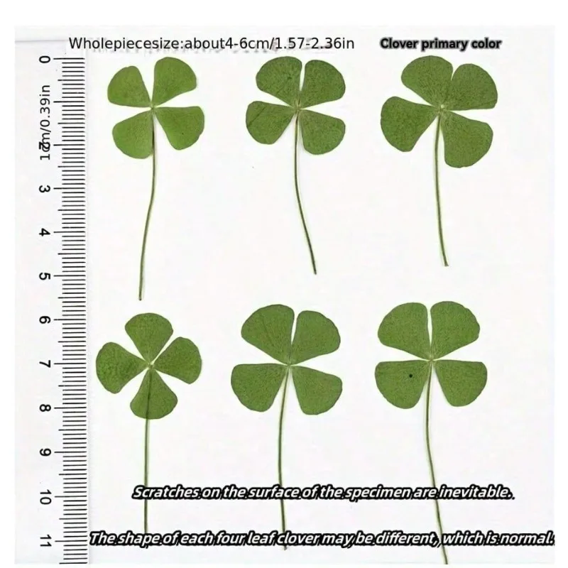 5PCS/10pcs Funny Transparent Card Bookmarks Four-Leaf Clover Bookmarker Transparent Wishing Card XKSQ01 thumbnail 6