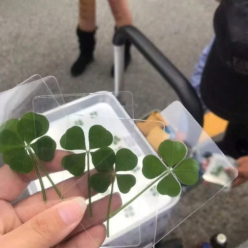 5PCS/10pcs Funny Transparent Card Bookmarks Four-Leaf Clover Bookmarker Transparent Wishing Card XKSQ01 thumbnail 4