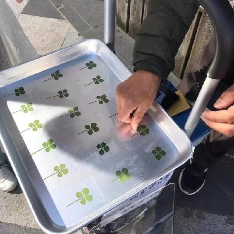 5PCS/10pcs Funny Transparent Card Bookmarks Four-Leaf Clover Bookmarker Transparent Wishing Card XKSQ01 thumbnail 3