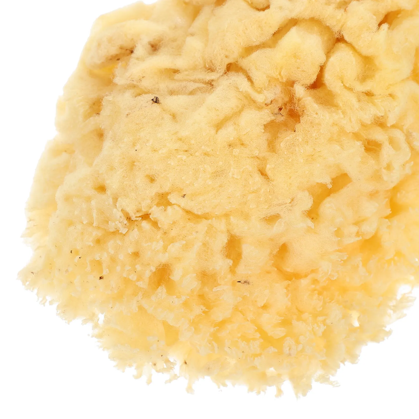 Natural Sea Sponge Painting Soft 2.0-2.5 Inch Watercolor Tool Texture Sponge for DIY Painting Art Supplies thumbnail 2