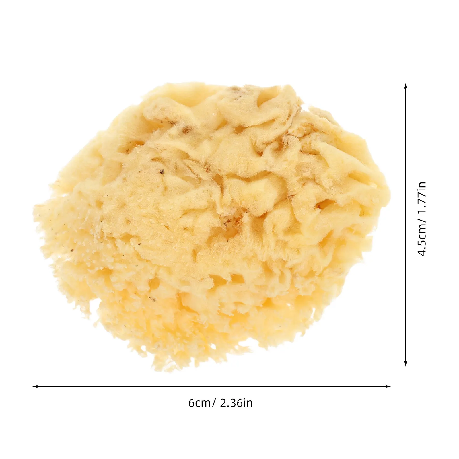 Natural Sea Sponge Painting Soft 2.0-2.5 Inch Watercolor Tool Texture Sponge for DIY Painting Art Supplies thumbnail 5