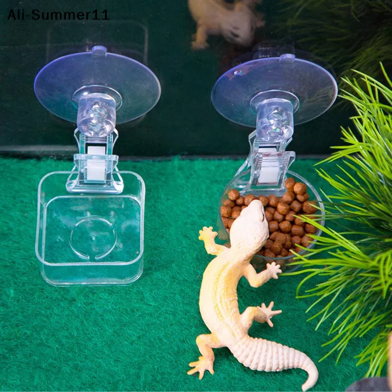 【A6L】Water Food Bowl Suction Cup Food Tray Gecko Reptile Lizards Spider Tree Frogs Feeder Habitat Decoration Pet Supplies thumbnail 2