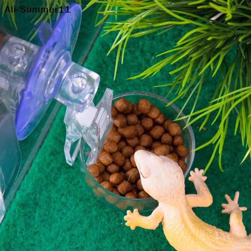 【A6L】Water Food Bowl Suction Cup Food Tray Gecko Reptile Lizards Spider Tree Frogs Feeder Habitat Decoration Pet Supplies thumbnail 3