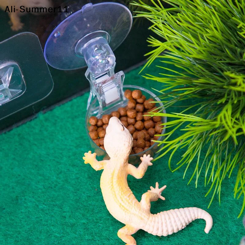 【A6L】Water Food Bowl Suction Cup Food Tray Gecko Reptile Lizards Spider Tree Frogs Feeder Habitat Decoration Pet Supplies thumbnail 4