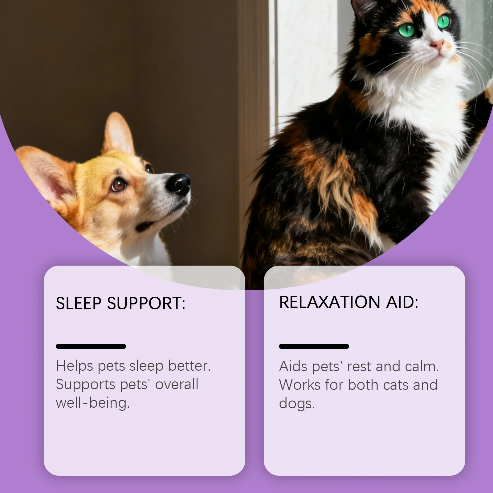 Pet Cat Dog Care Drops Nourishing Relaxation Supplement Liquid Improve Sleep Quality Relieve Stress Calming Support for Pets thumbnail 5