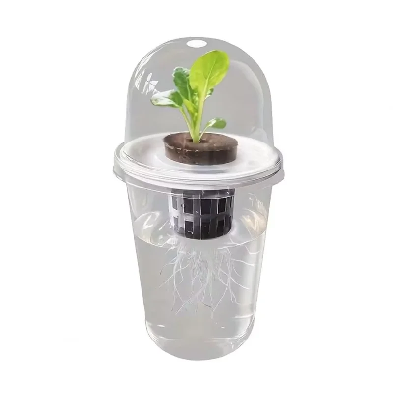 Hydroponic Seeds Starter Transparent Plant Propagation Cup Plant Propagation Station Kit Transparent Hydroponic for Succulents thumbnail 5